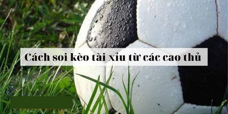 Xem kỹ các thông tin