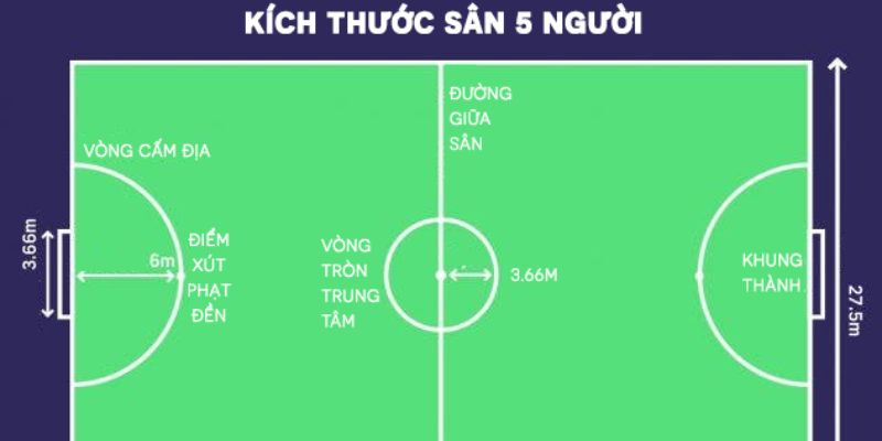 Sân bóng đá 5 người có diện tích như thế nào?