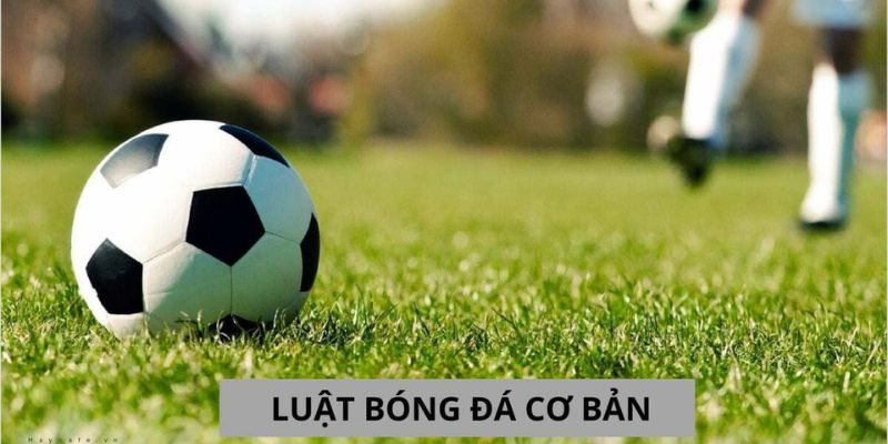 Luật bóng đá 5 người chi tiết cho game thủ