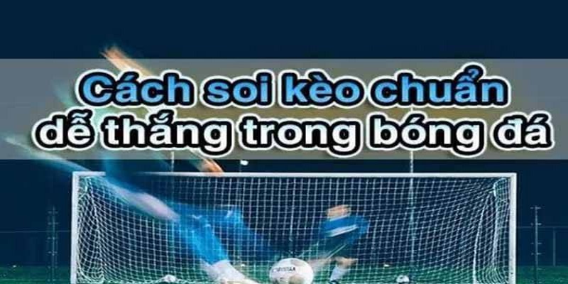 Bí kíp soi kèo bóng đá hôm nay cho bạn mới