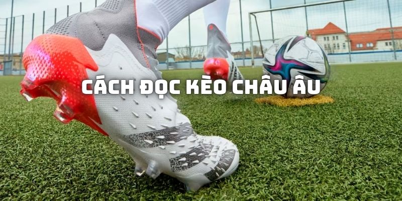 Tổng hợp cách đọc kèo bóng đá