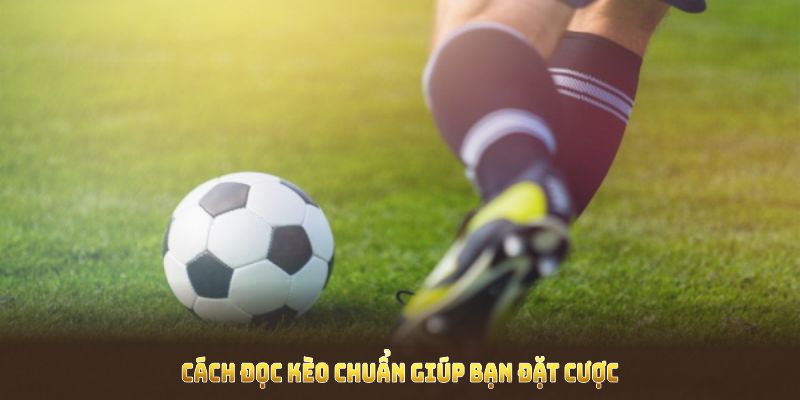 Cách đọc kèo châu âu