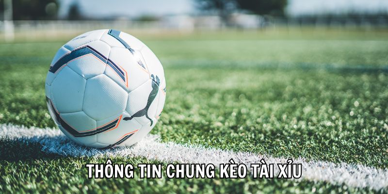 Kèo Tài Xỉu Châu Á - Phương Pháp Bắt Cầu Thắng Khủng