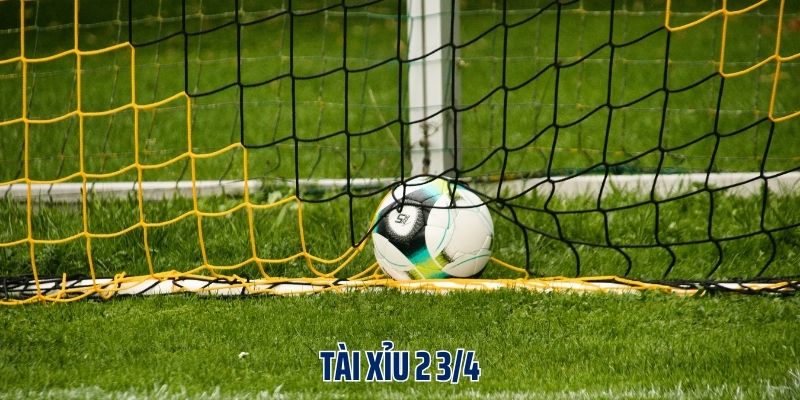 Mẹo hay trong tài xỉu 2 3/4 bất kỳ anh em nào cũng không nên bỏ qua
