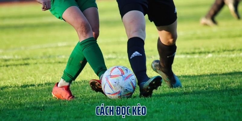 Cách đọc kèo đầy đủ, chi tiết nhất bet thủ không nên bỏ lỡ
