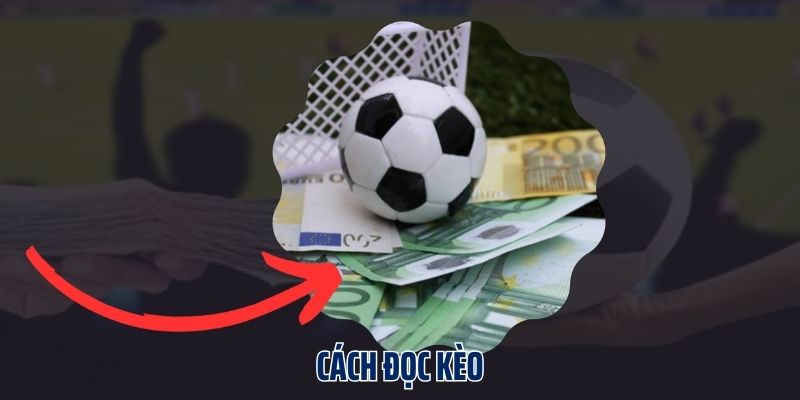 Tầm quan trọng của cách đọc kèo khi cá cược