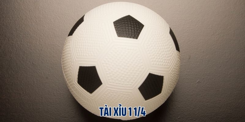 Tài xỉu 1 1/4 là gì?