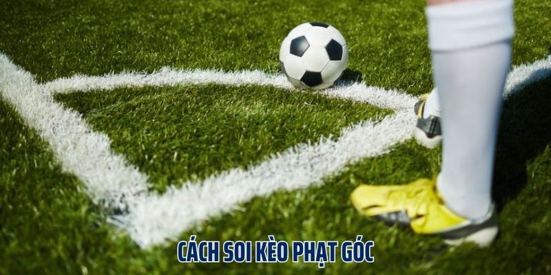 Tầm quan trọng của việc biết cách soi kèo phạt góc