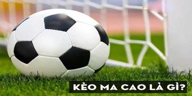 Tỷ Lệ Cá Cược Macao Fb88 - Sự Lựa Chọn Hàng Đầu Hiện Nay