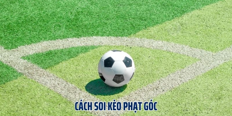 Phân tích tương quan giữa lối chơi và đối thủ - cách soi kèo phạt góc hiệu quả