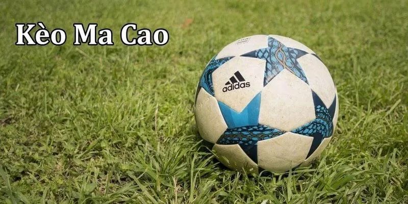 Tỷ lệ cá cược macao 1.25