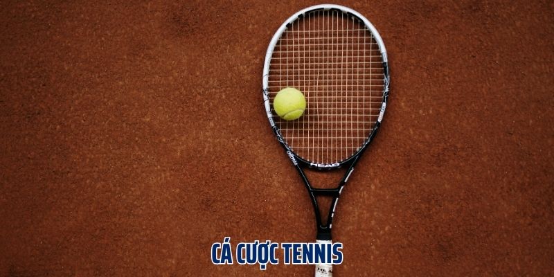 Cá Cược Tennis - Phương Pháp Hiệu Quả Giúp Bet Thủ Thắng Lớn