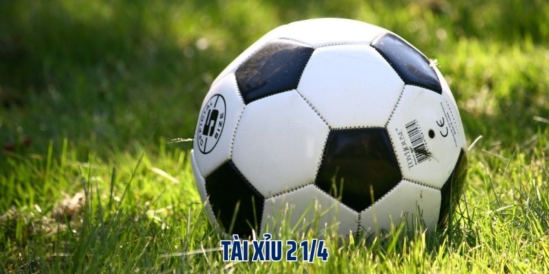 Tài xỉu 2 1/4 là gì?
