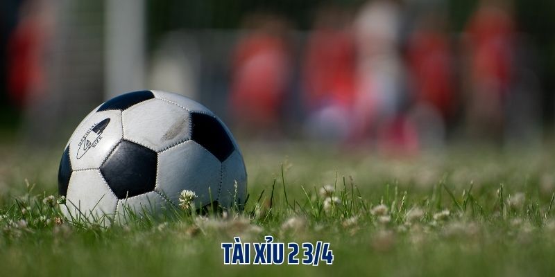 Vài nét cơ bản nhất về tài xỉu 2 3/4 bet thủ cần nắm