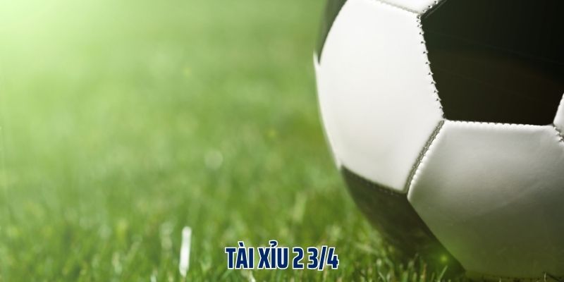Tài Xỉu 2 3/4 Mẹo Hay Bet Thủ Không Nên Bỏ Qua Khi Tham Gia