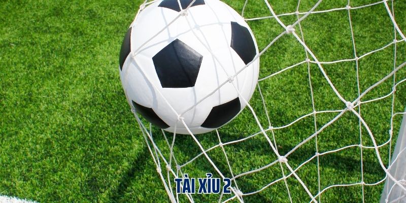 Tài Xỉu 2 - Tổng Hợp Mẹo Hay Từ Cao Thủ Giúp Chơi Là Trúng Đậm