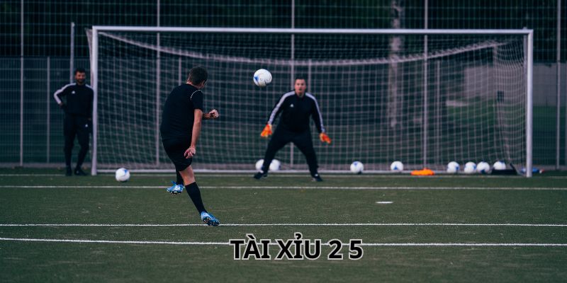 Cách chơi tài xỉu 2 5 đơn giản, hiệu quả cao cho bet thủ