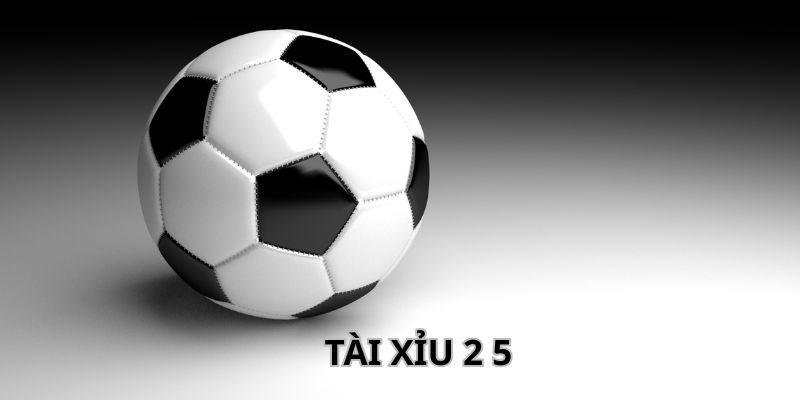 Tài Xỉu 2 5 - Cách Đơn Giản Giúp Anh Em Thắng Lớn Mỗi Ngày