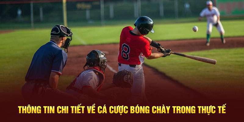 Trải nghiệm cá cược bóng chày toàn diện tại Fb88