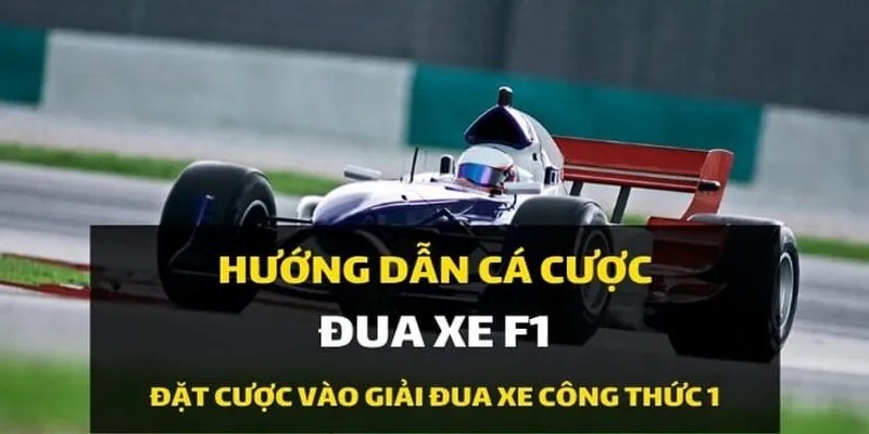 Những loại cược F1 phổ biến