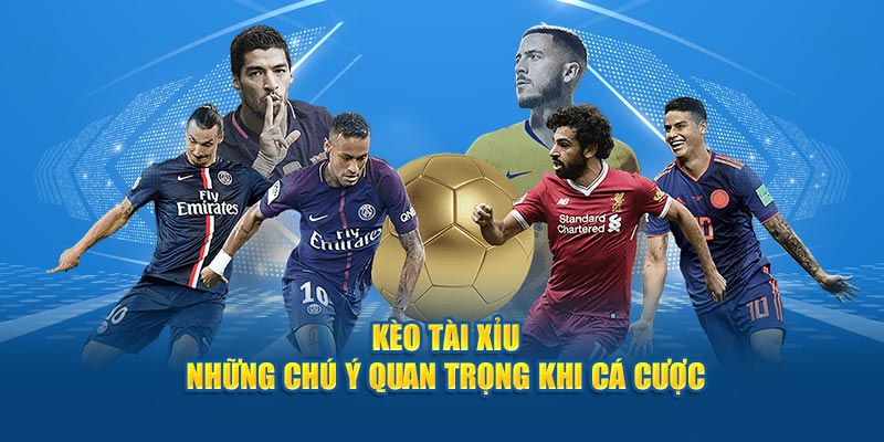 Kèo Tài Xỉu Là Gì? Các Tỷ Lệ Tài Xỉu Hot Nhất Trong Cá Độ 