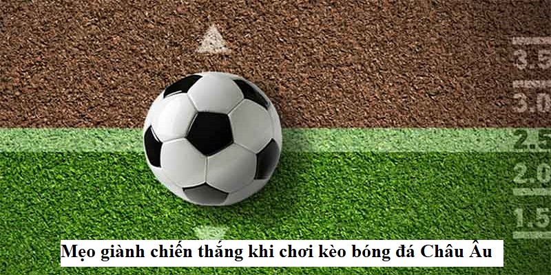 Hướng dẫn tham gia cược siêu dễ