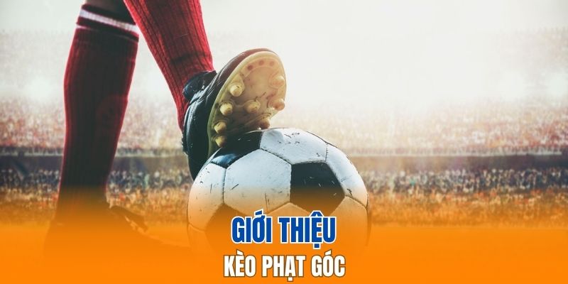 Bạn chỉ cần quan tâm đến tổng số quả phạt góc mà không cần để tâm tỷ số
