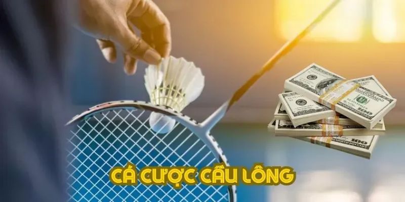 Vài nét về cá độ cầu lông Fb88