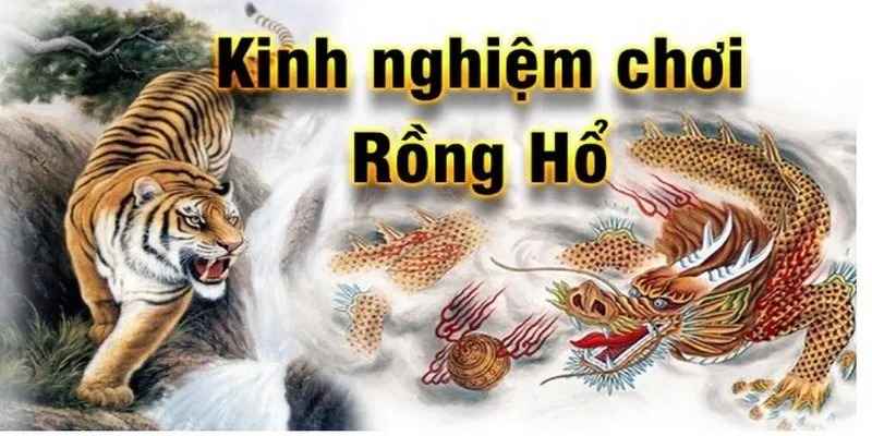 Top 5 kinh nghiệm chơi Rồng Hổ từ cao thủ