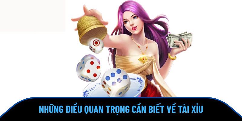 Vài nét khái quát về game cá cược tài xỉu