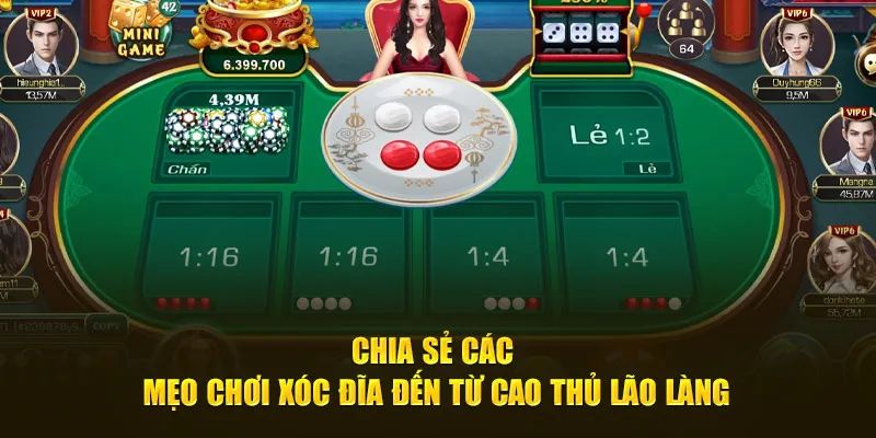 Top 5 kinh nghiệm chơi xóc đĩa từ dân chuyên