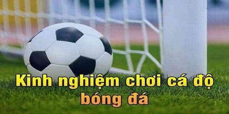 Soi Kèo 88 Và Những Kiến Thức Hay Bet Thủ Cần Biết