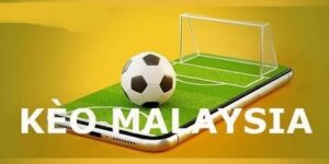 Kèo Mã Lai Là Gì? Hướng Dẫn Cách Tính Tỷ Lệ Kèo Cho Tân Binh