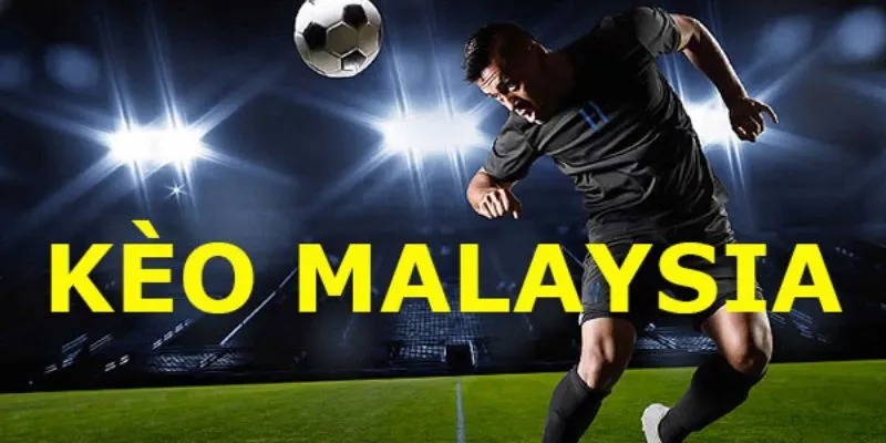 Chia sẻ bí quyết soi tỷ lệ kèo mã lai chuẩn nhất từ chuyên gia