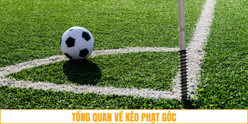 Giải đáp keo phat goc là gì? 