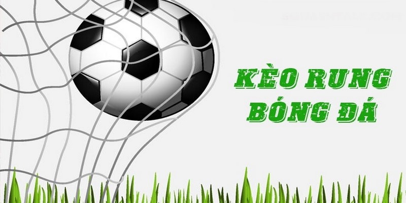 Các loại hình đặt cược kèo rung