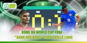 Bóng Đá World Cup FB88 - "Xanh Rực Bảng" Chốt Tiền Lẹ Làng