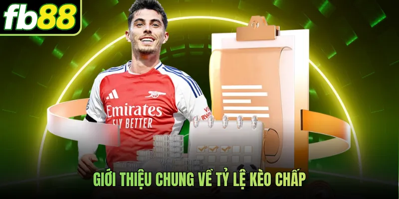 Giới thiệu chung về tỷ lệ kèo chấp