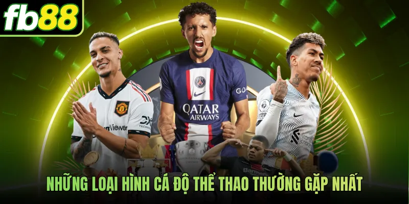 Những loại hình cá độ thể thao thường gặp nhất