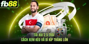 Tài Xỉu 2.5 Trái - Cách Xem Kèo Và Bí Kíp Thắng Lớn