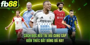 Cách Đọc Kèo Tài Xỉu Cung Cấp Kiến Thức Bắt Bóng Đá Hay
