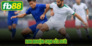 Kinh Nghiệm Chọn Cửa Dưới
