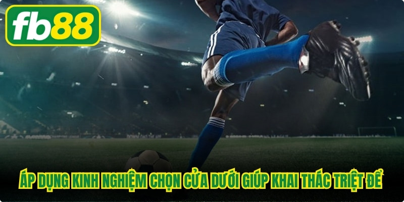 Áp dụng kinh nghiệm chọn cửa dưới giúp khai thác triệt để bất ngờ bóng đá