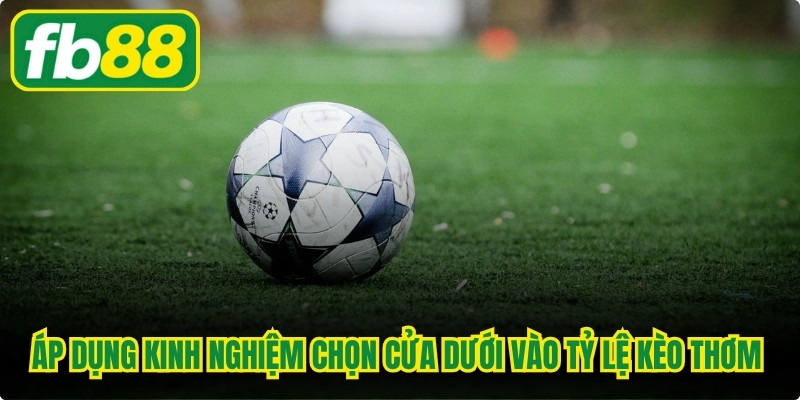 Áp dụng kinh nghiệm chọn cửa dưới vào những tỷ lệ kèo thơm nhất