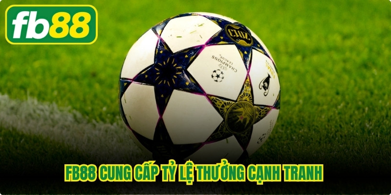 FB88 cung cấp tỷ lệ thưởng cạnh tranh cho hình thức soi kèo ném biên
