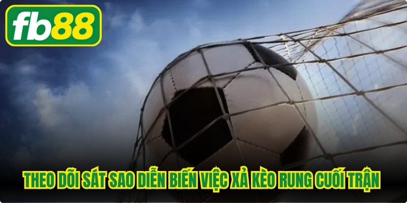 Theo dõi sát sao diễn biến hỗ trợ việc xả kèo rung cuối trận chuẩn xác