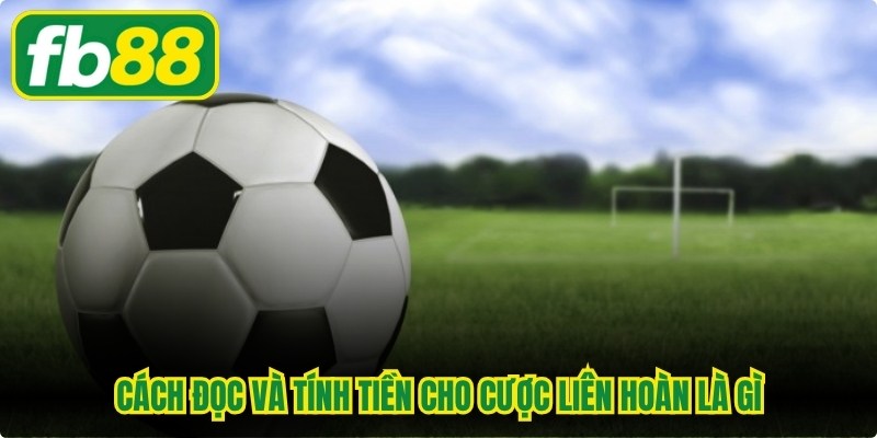 Cách đọc và tính tiền cho cược liên hoàn là gì