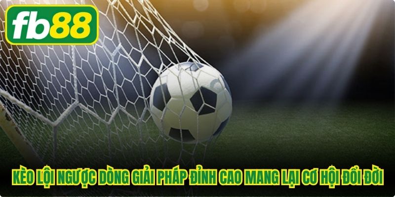 Kèo lội ngược dòng giải pháp đỉnh cao mang lại cơ hội đổi đời