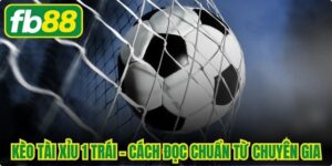 Kèo Tài Xỉu 1 Trái