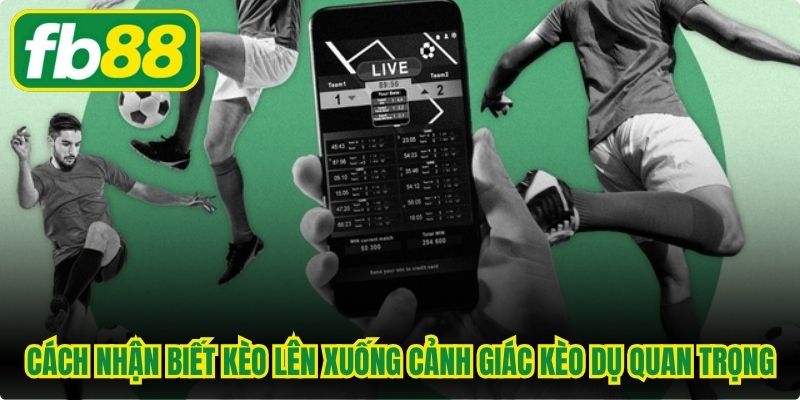 Cách nhận biết kèo lên xuống cảnh giác kèo dụ đặc biệt quan trọng